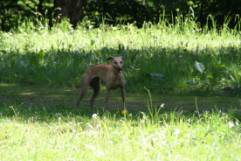 IMG_8842.JPG