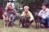 Eine gro�e Familie