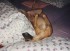 Allegr� - So richtig nett ist es nur im Bett