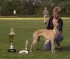 Best in Show with Calandria